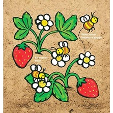 Ecovibe Arıcı Ne Yapar?