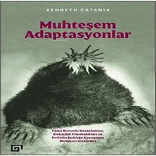 Ecovibe Muhteşem Adaptasyonlar