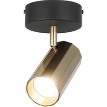 Ecovibe Rosta Tekli Siyah-Antık Lak Plafonyer 1XGU10