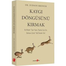 Ecovibe Kaygı Döngüsünü Kırmak