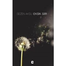 Ecovibe Eksik Şiir: Şarkı Sözleri 1975-2006
