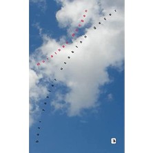 Bistopia Bazı Yazlar Uzaktan Geçer