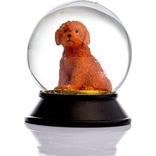 Ecovibe Cam ve Reçine Altın Patiler Köpek Toy Poodle (Tarçın) Kar Küresi Hediye