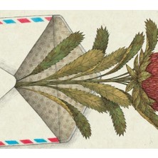 Bistopia Bir Dostluk Masalı (Ciltli)