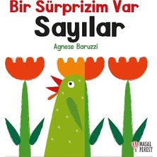 Daders Home Bir Sürprizim Var - Sayılar