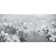 Daders Home It Fell From The Sky