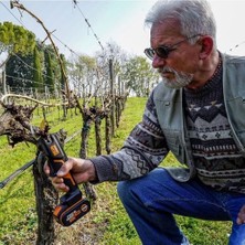 Daders Home WG330E 20VOLT 2.0A Li-Ion Tek Akülü Profesyonel Kömürsüz Dal Budama Makası