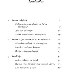 Daders Home Kedi Felsefesi: Kediler ve Hayatın Anlamı