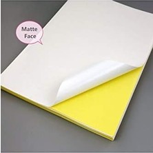 Daders Home 100 Adet A4 Yapışkanlı  Kağıt Etiket ve Laser Mat Yüzey