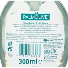 Daders Home Mutfak Için Koku Giderici Sıvı El Sabunu (300 Ml)