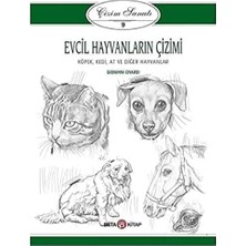 Daders Home Evcil Hayvanların Çizimi - Çizim Sanatı 9: Köpek, Kedi, At ve Diğer Hayvanlar