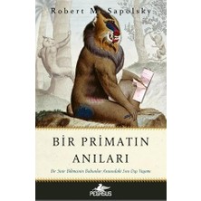 Daders Home Bir Primatın Anıları: Bir Sinir Bilimcinin Babunlar Arasındaki Sıra Dışı Yaşamı