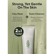 Daders Home Hassas Ciltler Için Yatıştırıcı Temizleme Köpüğü 150 Mililitre Time Revolution Artemisia Pack Foam Cleanser
