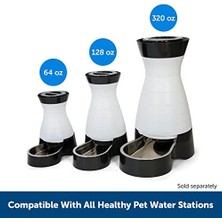 Daders Home Petsafe Sağlıklı Pet Su Filtresi - Hindistan Cevizi Karbonu Suyu Taze Tutar - Sağlıklı Evcil Hayvan Su Istasyonları ile Uyumlu - Abone Ol ve Tasarruf Et - 6-8 Hafta Sürer - Diğer Markalardan 2 Kat