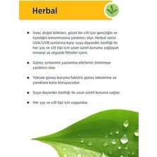 Daders Home Herbal Renkli Güneş Koruyucu Dry Touch Light 50 Spf