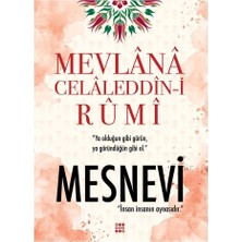 DMR Home Mesnevi (Ciltli)