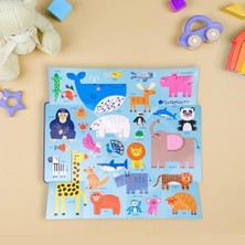 DMR Home Pop Out Mega Pictures