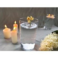 Plantarrium Design Yüzen Çiçek – Papatya Serisi | Su Üstü Dekor Aparatı - Sarı 1 Adet