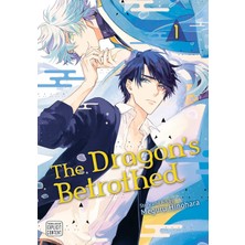 DMR Home Dragon's Betrothed, Vol. 1