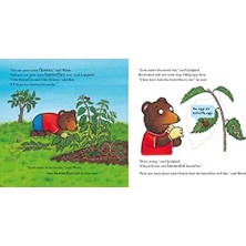 DMR Home National Trust: Ben Plants A Butterfly Garden