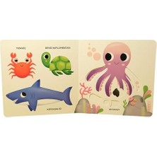 DMR Home Denizler - Oynat-Keşfet (Ciltli)