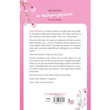 DMR Home Artık Rol Yapmıyorum