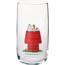DMR Home Can Dükkan Cam Bardak (365 Cc) - Snoopy Kulübe
