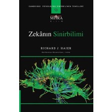 DMR Home Zekanın Sinirbilimi