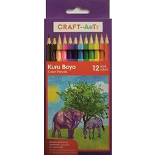 DMR Home And Arts Kuru Boya 12'li Paket