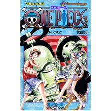 DMR Home One Pıece 14: Içgüdü