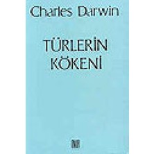 DMR Home Türlerin Kökeni