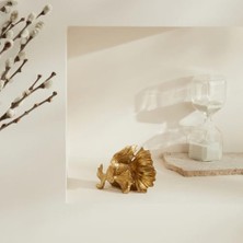 DMR Home Rumble Fish Biblo