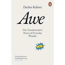 DMR Home Awe: The Transformative Power Of Everyday Wonder