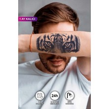 Bear & Pear 1 Ay Kalıcı Kaplanın Gözü Dövmesi Eye Of The Tiger Tattoo