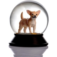 DMR Home Cam ve Reçine Altın Patiler Köpek Chihuahua (Kayısı) Kar Küresi Hediye