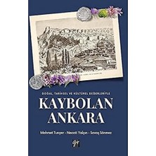 DMR Home Doğal, Tarihsel ve Kültürel Değerleriyle Kaybolan Ankara