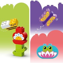 DMR Home Town Yaratıcı Bahçe ve Çiçekler 10444-2 Yaş ve Üzeri Okul Öncesi Çocuklar Için Eğitici ve Yaratıcı Oyuncak Yapım Seti (45 Parça)