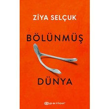 DMR Home Bölünmüş Dünya