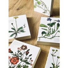 Ozcmax Özel Tasarım Baskılı Kapaklı A5 Kareli Not Defteri - 180 Derece Açılabilir, Sırtı DIKIŞLI,%100 El Işçiliği, Ofis Için Ideal, Planlayıcı (Viola Hirta Kapak Tasarımı)