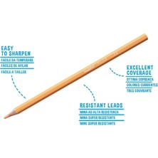 DMR Home Pastel Renk Kuru Boya Kalemi 24'lü