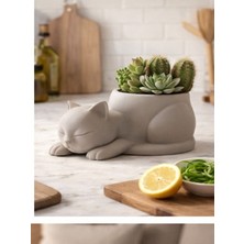 Uyuyan Kedi Görünümlü Saksı