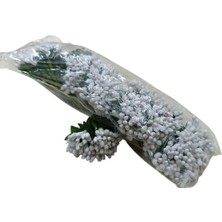 Karakız Pıtırcık Cipso Beyaz 12 Demet 144'lü