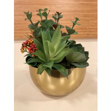 Plus Home Yapay Çiçek Skulent Karışık Renk Papatya Model Pirinç Saksı Içi Arajman Altın Boy 21 Çevre Çap 48