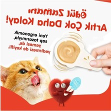 Esranın Dünyası Somon Aromalı Kaşıklı Kedi Ödül Kreması (10 x 16 Gr)