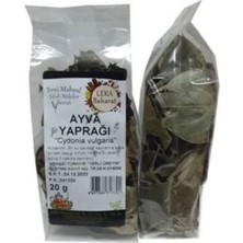 Leka Ayva Yaprağı 20 gr