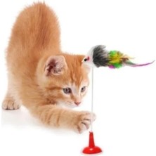 Calperia Vantuzlu Hareketli Çanlı Eğlenceli Peluş Kedi Oyuncağı, 2'li Paket