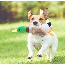 Ttt Sesli Ördek Şekilli Peluş Köpek Oyuncağı