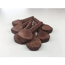 Calperia Gürgen Ağaçtan Bağlama Burgusu, Tek Adet Kaliteli