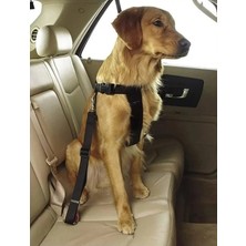 Calperia Mavi Renkli Evcil Hayvan Araç Emniyet Kemeri