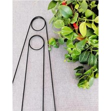Calperia 2 Adet Siyah Metal Destek Çubuğu, 65 Cm, Büyük Yapraklı Bitkiler Için